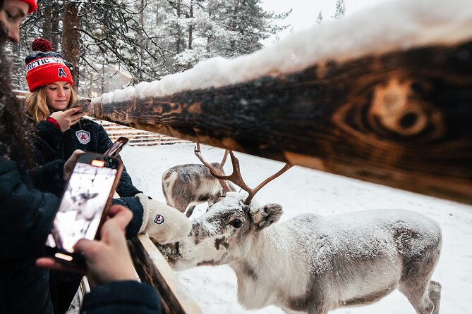 1 Day Pass Lapland Winter Park in Rovaniemi - Skating, skiing, and snowshoeing