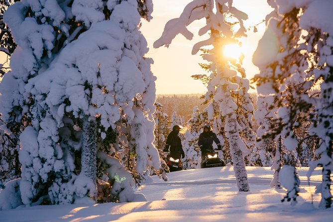 1-Hour Snowmobile Safari Experience - A quick ride into Lapland’s snowy forest