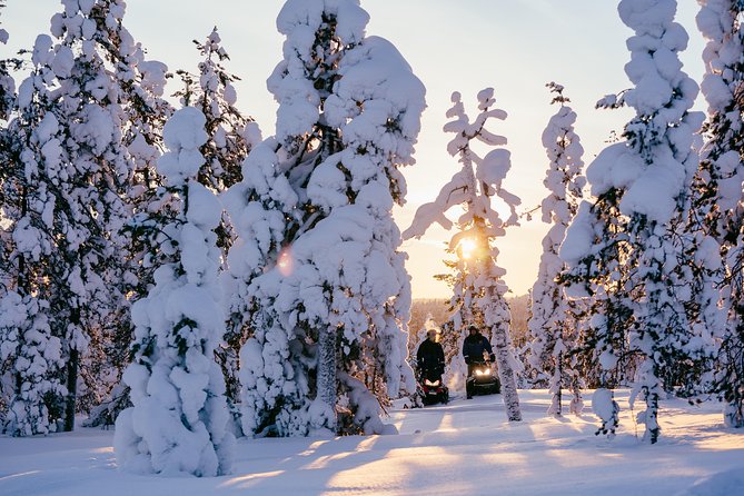 1-Hour Snowmobile Safari Experience - What the one-hour ride feels like