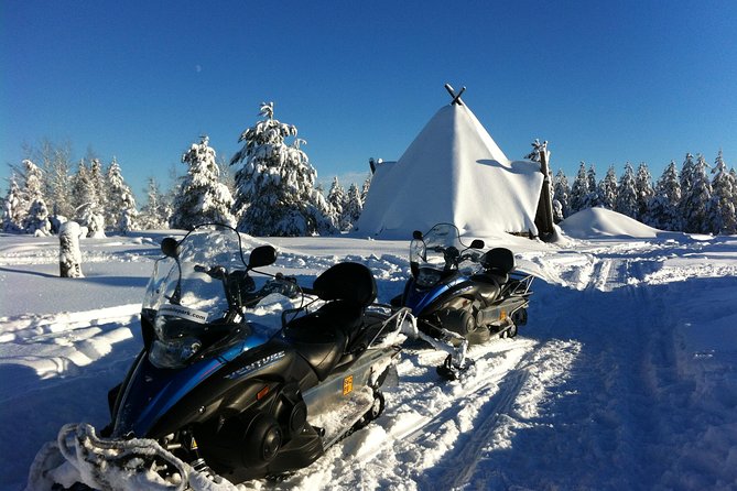 1-Hour Snowmobile Safari Experience - How much value do you get for $120.15?
