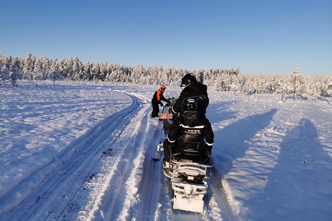 1-Hour Snowmobile Safari Experience - Timing, meeting point, and group size