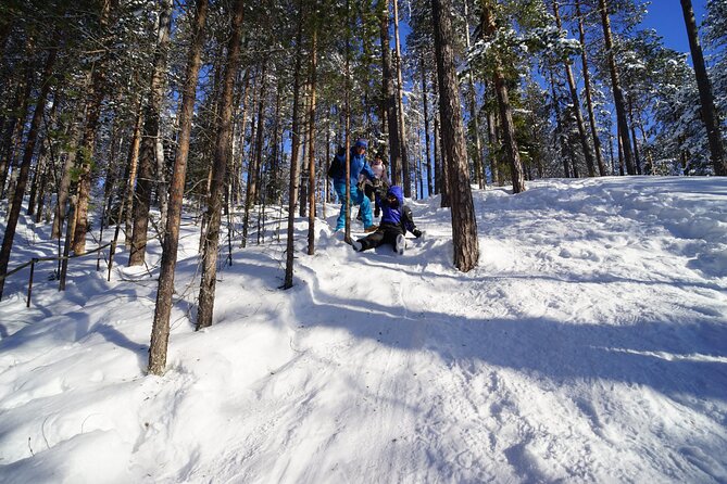 10 km Authentic Husky Safari in the Taiga Forest – Family Kennel - Key points to know before booking
