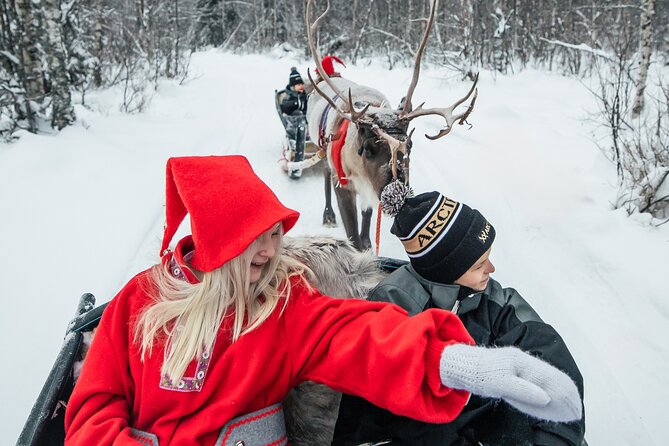 2km Sleigh Ride & Feeding Experience at Traditional Reindeer Farm - Feeding the reindeer up close
