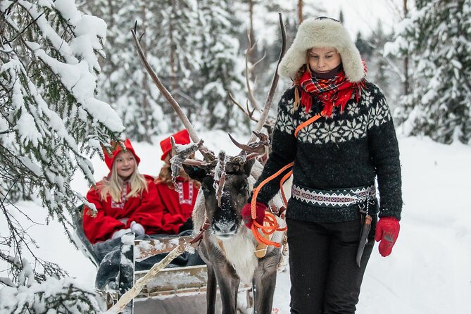 2km Sleigh Ride & Feeding Experience at Traditional Reindeer Farm - Clothing, weather, and comfort