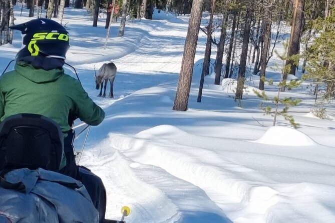 3 Days Raid Snowmobile in Finnish Lapland - Who will get the most from this trip