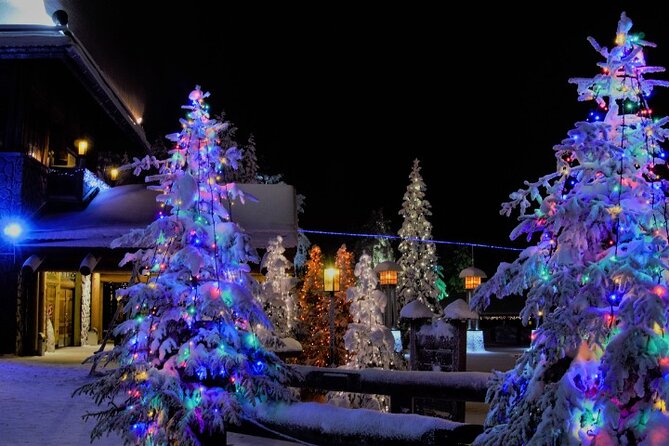 Airport & City Transfers in Rovaniemi - Who gets the most from this service?