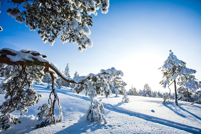 All Day Snowmobile Driving - Practical Details Before You Book