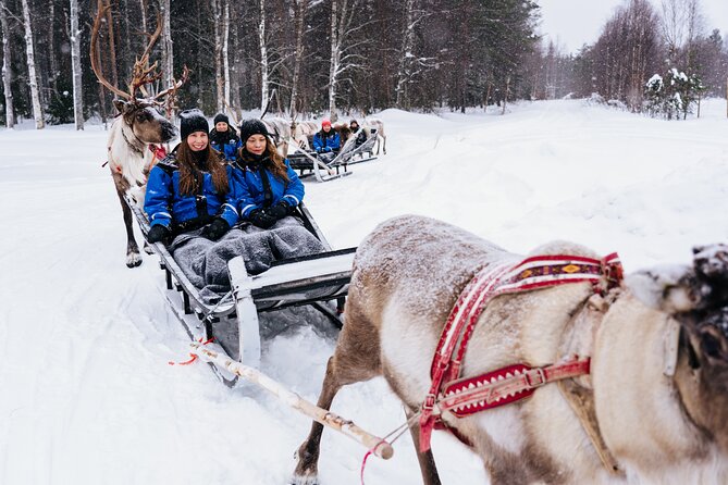 Apukka Reindeer Journey - Who will enjoy this most?