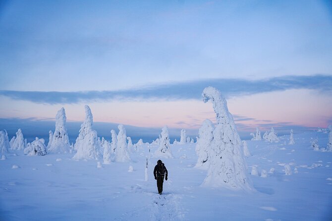 Arctic Adventure through Magical Frozen Forests of Riisitunturi - Why Riisitunturi feels different from a quick Rovaniemi outing