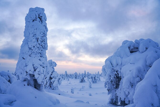 Arctic Adventure through Magical Frozen Forests of Riisitunturi - Why the supplied clothing matters