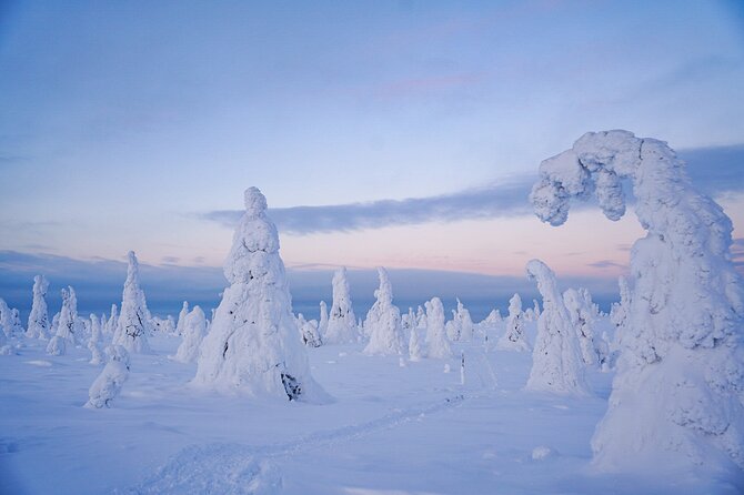 Arctic Adventure through Magical Frozen Forests of Riisitunturi - A Finnish campfire break in the forest