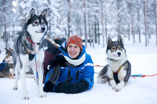 Arctic Circle Family Day - Three Arctic activities in one day
