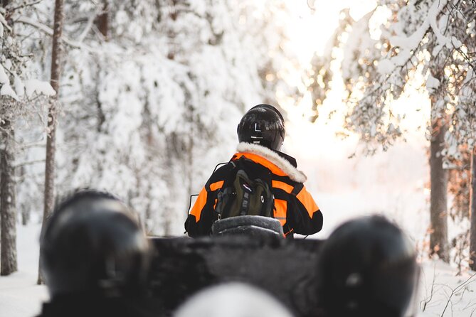 Arctic Circle Snowmobile Safari for Beginners in Rovaniemi - Patient guides make the difference