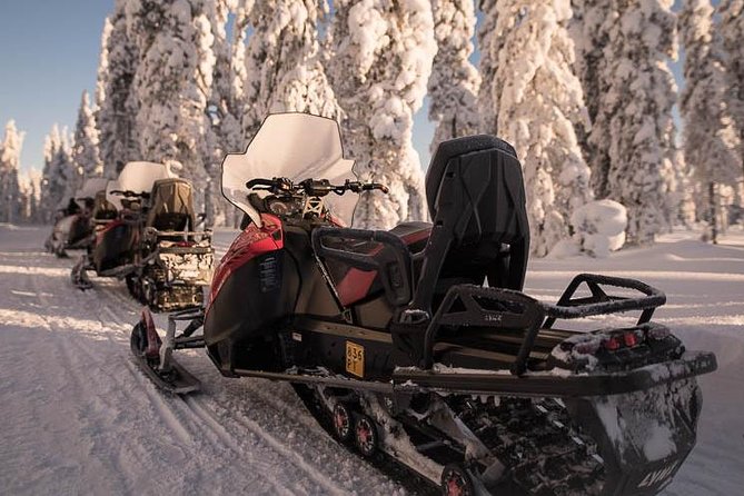 Arctic Circle Snowmobile Safari for Beginners in Rovaniemi - Sharing a machine and swapping drivers