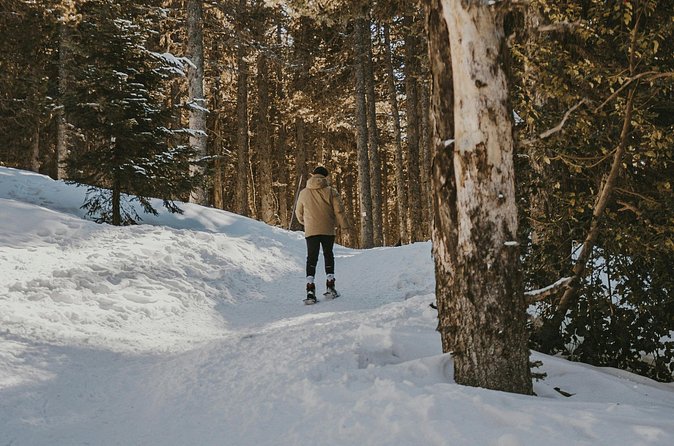 Arctic Darkness & Starlight Adventure with Snowshoes - The advantage of a private two-hour outing