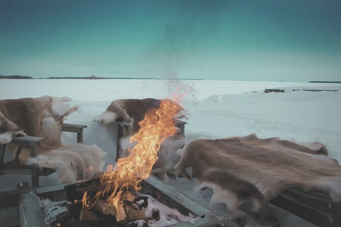 Arctic Darkness & Starlight Adventure with Snowshoes - Who will enjoy this Sodankylä experience