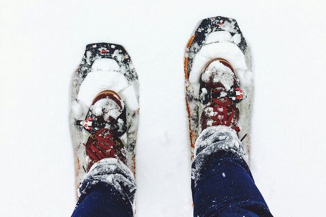 Arctic Darkness & Starlight Adventure with Snowshoes - Getting used to snowshoes on easy terrain