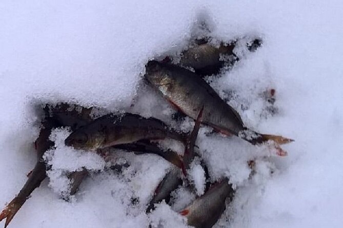 Arctic Day with Ice Fishing and Floating - Ice fishing on a frozen lake