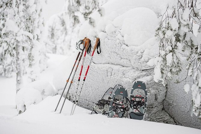 Arctic Day with Ice Fishing and Floating - Is $287.16 a fair price?