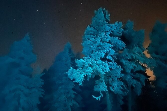 Aurora Borealis Dinner in a Glass Igloo - A winter dinner with the sky as your ceiling