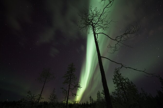 Aurora Borealis Picnic in Rovaniemi - Guides who add warmth to a cold night