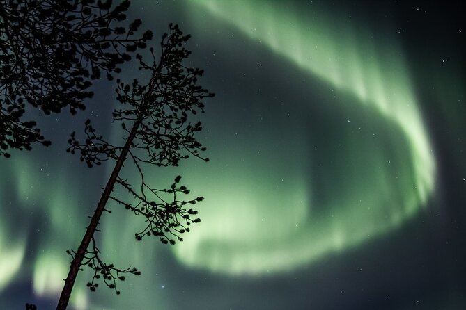 Aurora Borealis Picnic in Rovaniemi - Warm clothing and comfort in Lapland