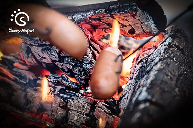 Aurora Borealis Trip in Lapland Lakeside - Small group, family fit, and comfort