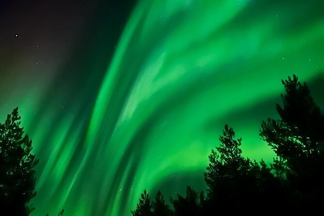 Aurora Hunt with BBQ in Rovaniemi - Following the lights beyond Rovaniemi