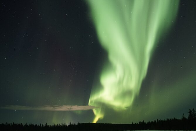 Aurora Hunting Photo Tour from Rovaniemi with Pickup - What happens at Safartica in Rovaniemi