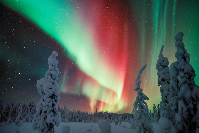 Auroras - Northern Lights Tours by Aurora Experts - Rovaniemi - Starting at Rovakatu 26 at 9 p.m.