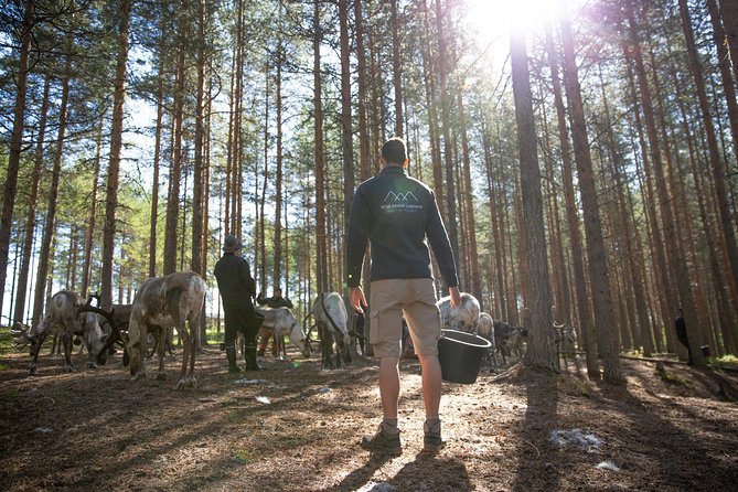Authentic Reindeer Farm and Canoe Experience from Rovaniemi - Learning the canoe before leaving shore