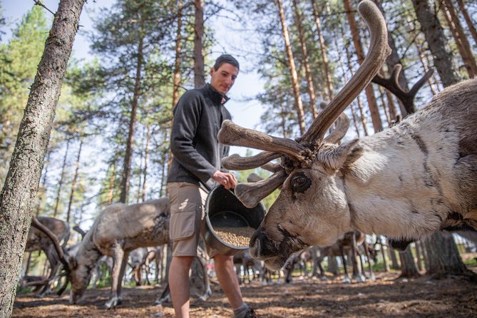 Authentic Reindeer Farm and Canoe Experience from Rovaniemi - Tea, cookies, and a fire in the kota