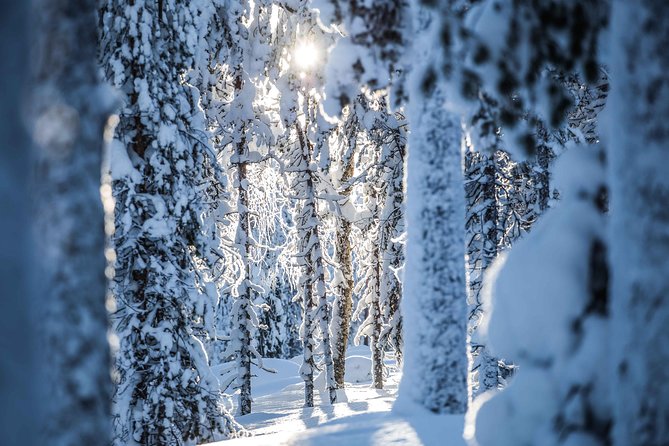 Backcountry skiing adventure - Is $138.16 a fair price?