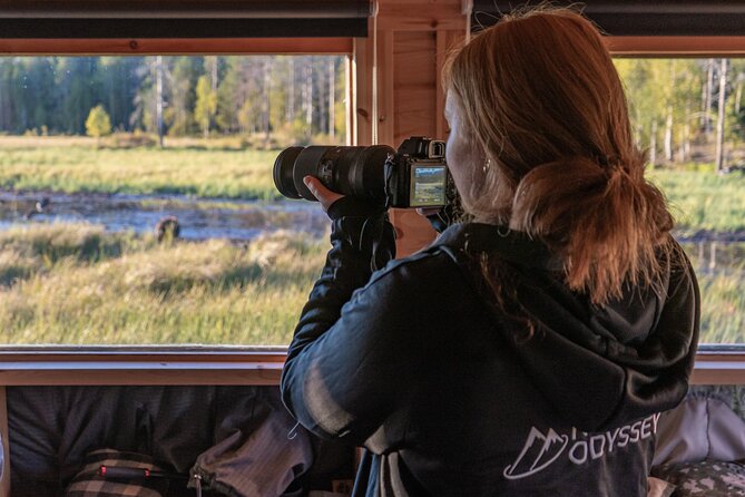 Bear and Arctic Animals 2 Day Trip from Rovaniemi - Why the bear-watching hut is worth the long ride