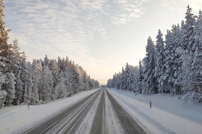 Best Of Lapland: Sauna, Ice swimming, Dinner & Northern Lights - Northern Lights: a bonus, not the reason to book