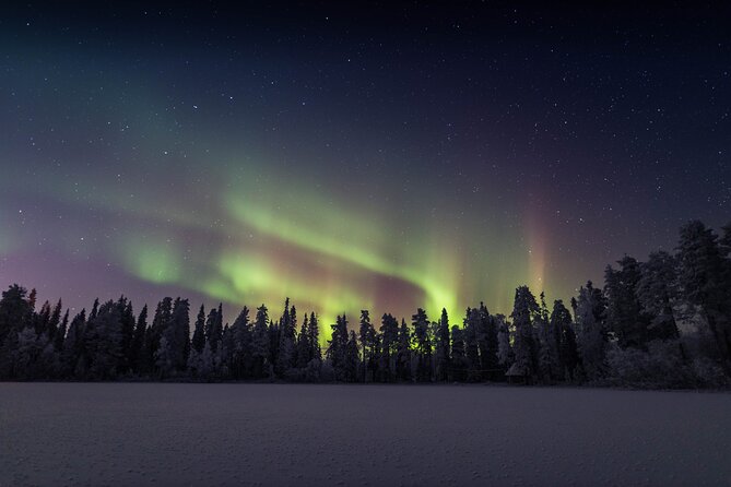 Best Of Lapland: Sauna, Ice swimming, Dinner & Northern Lights - Is $189.94 a fair price?