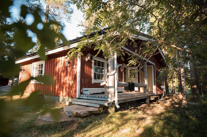 Best Of Lapland: Sauna, Ice swimming, Dinner & Northern Lights - Who will enjoy this most?