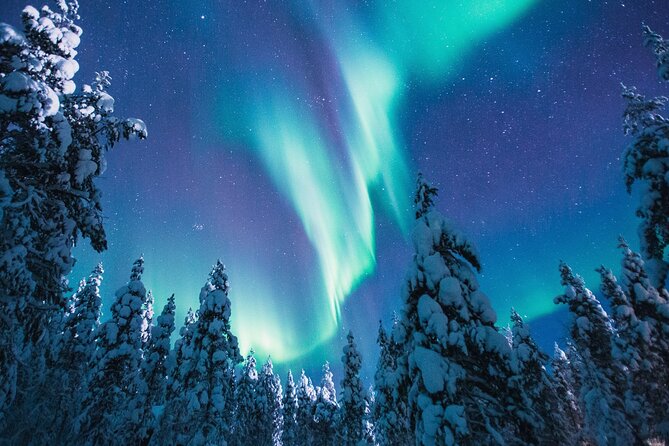 Bus Tour with Hunting Northern Lights - Meeting at Maakuntakatu 29-31
