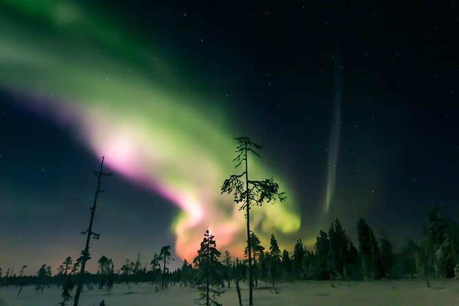 Capturing Auroras in Pyhä - The 10-minute walk to Tajukangas