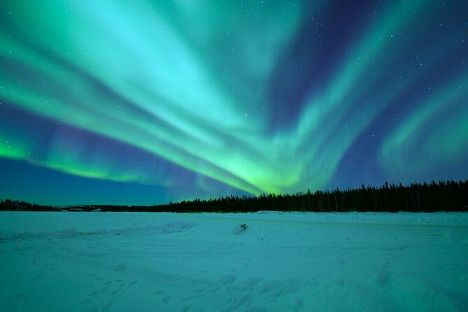 Chasing Aurora with Photographer - Small Group - Is the $192.36 price fair?