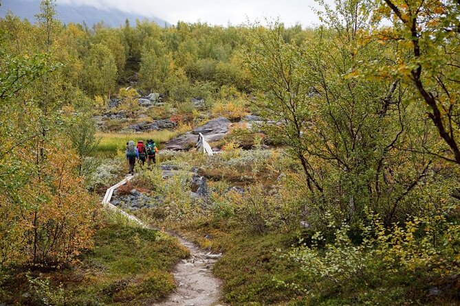 Classic Wilderness Skiing in the Pyhä-Luosto National Park - Key points at a glance