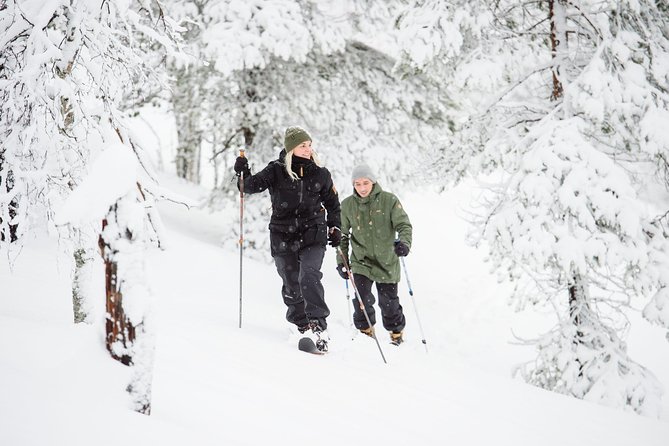 Classic Wilderness Skiing in the Pyhä-Luosto National Park - Starting at Pyhätunturi
