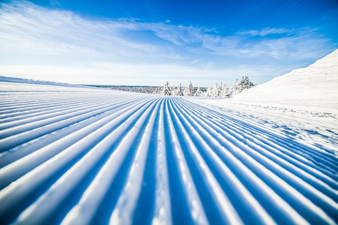 Cross-Country Skiing Trip - Starting in Rovaniemi with a proper ski lesson