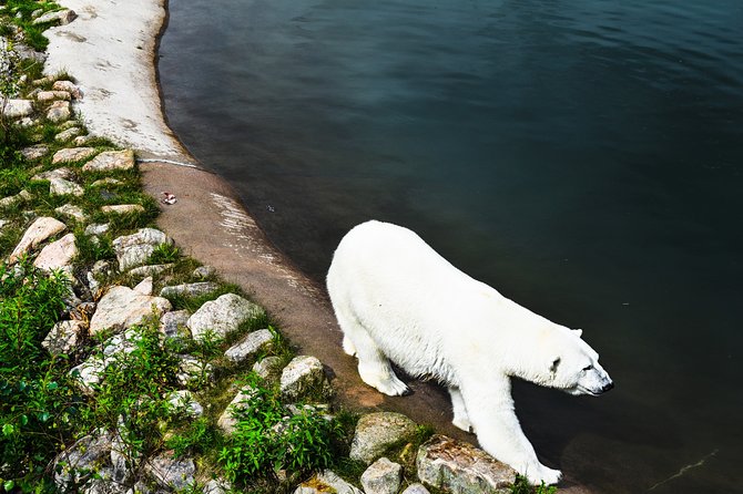 Day Trip to Ranua Arctic Wildlife Park from Rovaniemi - Six hours, transport, and group size