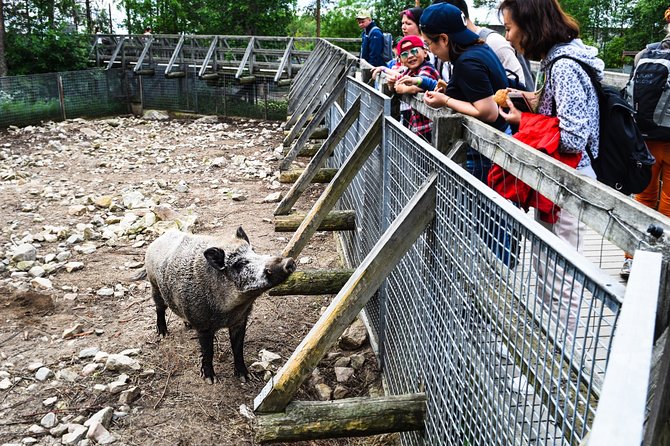 Day Trip to Ranua Arctic Wildlife Park from Rovaniemi - Starting at Lapland Welcome in Rovaniemi