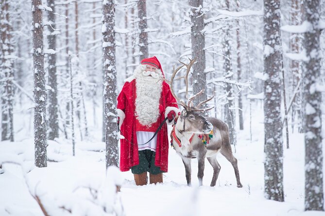 Daytour to Santa Claus Village, Reindeer and Husky Safaris, Photo, and Lunch - Crossing the Arctic Circle and collecting the diploma