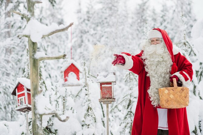 Daytour to Santa Claus Village, Reindeer and Husky Safaris, Photo, and Lunch - Sending a postcard from Santa’s Main Post Office