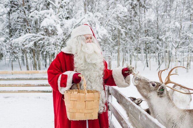 Daytour to Santa Claus Village, Reindeer and Husky Safaris, Photo, and Lunch - Lunch in Santa Claus Village