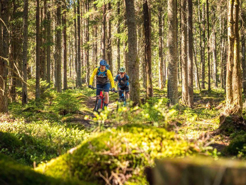 E-FatBike experience in small groups - Returning Through the Winter Trails