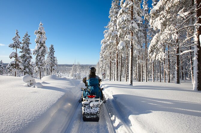 Easy Snowmobile Safari - Into the Forest and the Frosty Trees